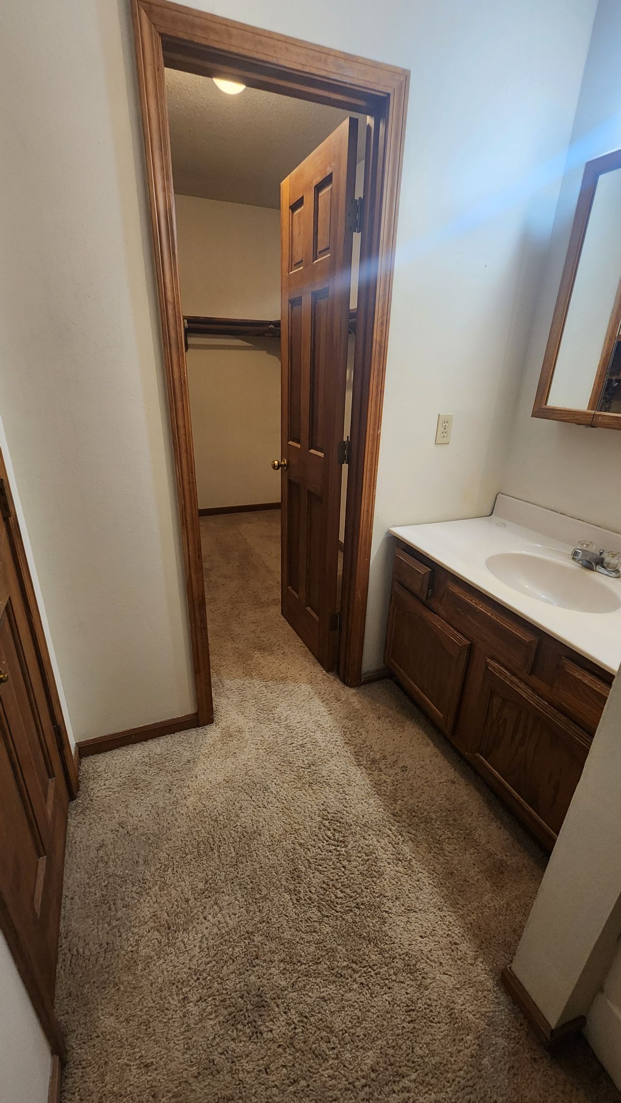 Bathroom with wooden door, sink, and closet. Carpeted floor.