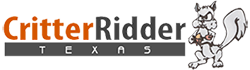 Critter Ridder