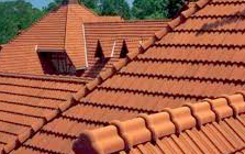 Red clay tile roof with multiple sections and ridges, set against a green tree background.