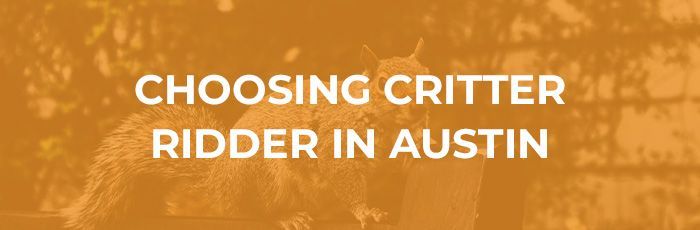 Text on an orange background: 