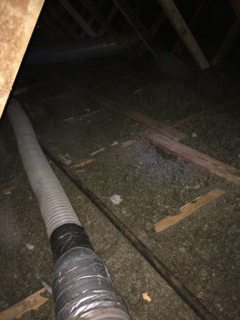 Interior view of an attic. A flexible hose extends across the insulation. Dark wood rafters are visible.