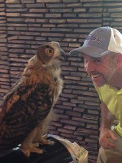 Man smiles at an owl perched on a surface; brick wall background.