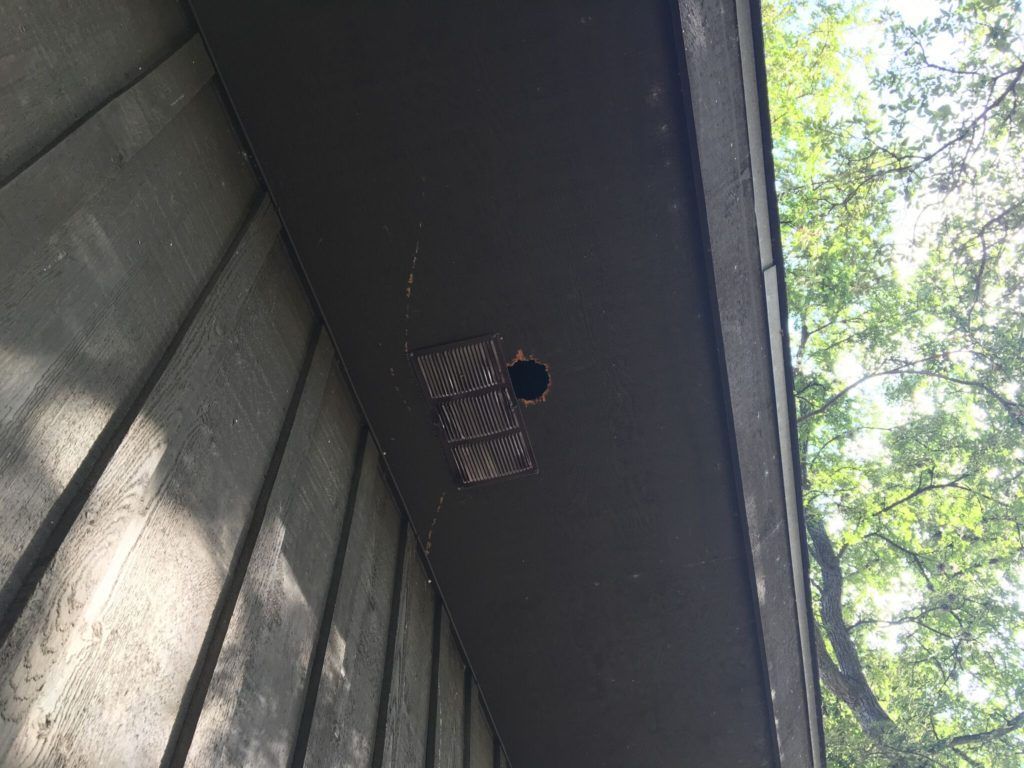 Exterior view of a dark brown building with wooden siding, a black soffit, and a hole with a honeycomb-like structure.