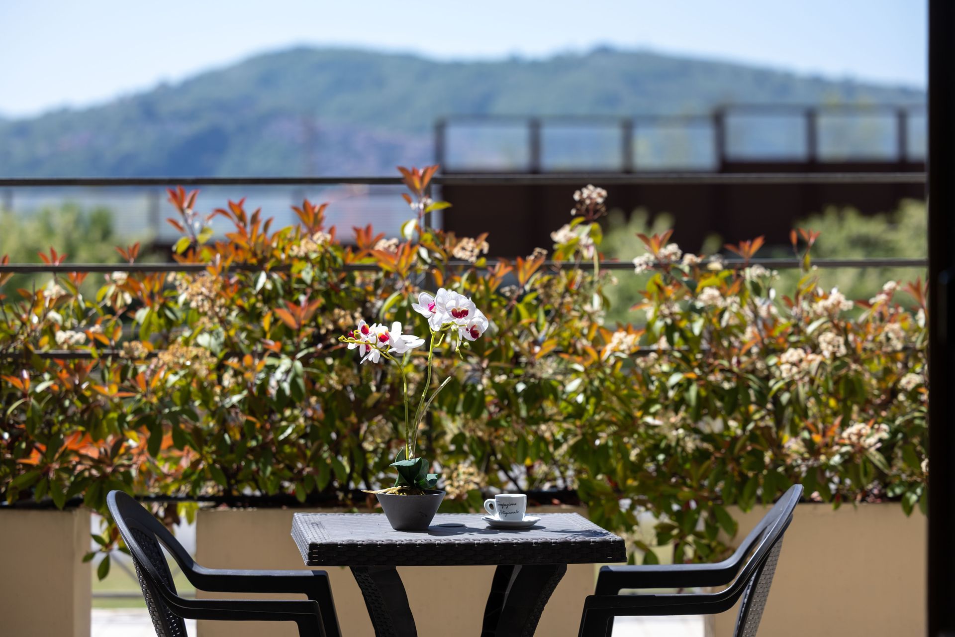 Hotel La Quercia