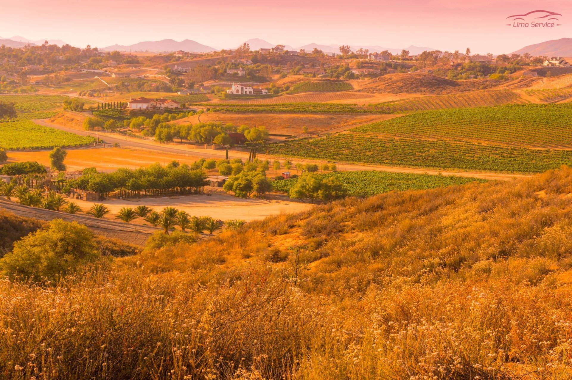 A landscape of a valley filled with lots of trees and grass.