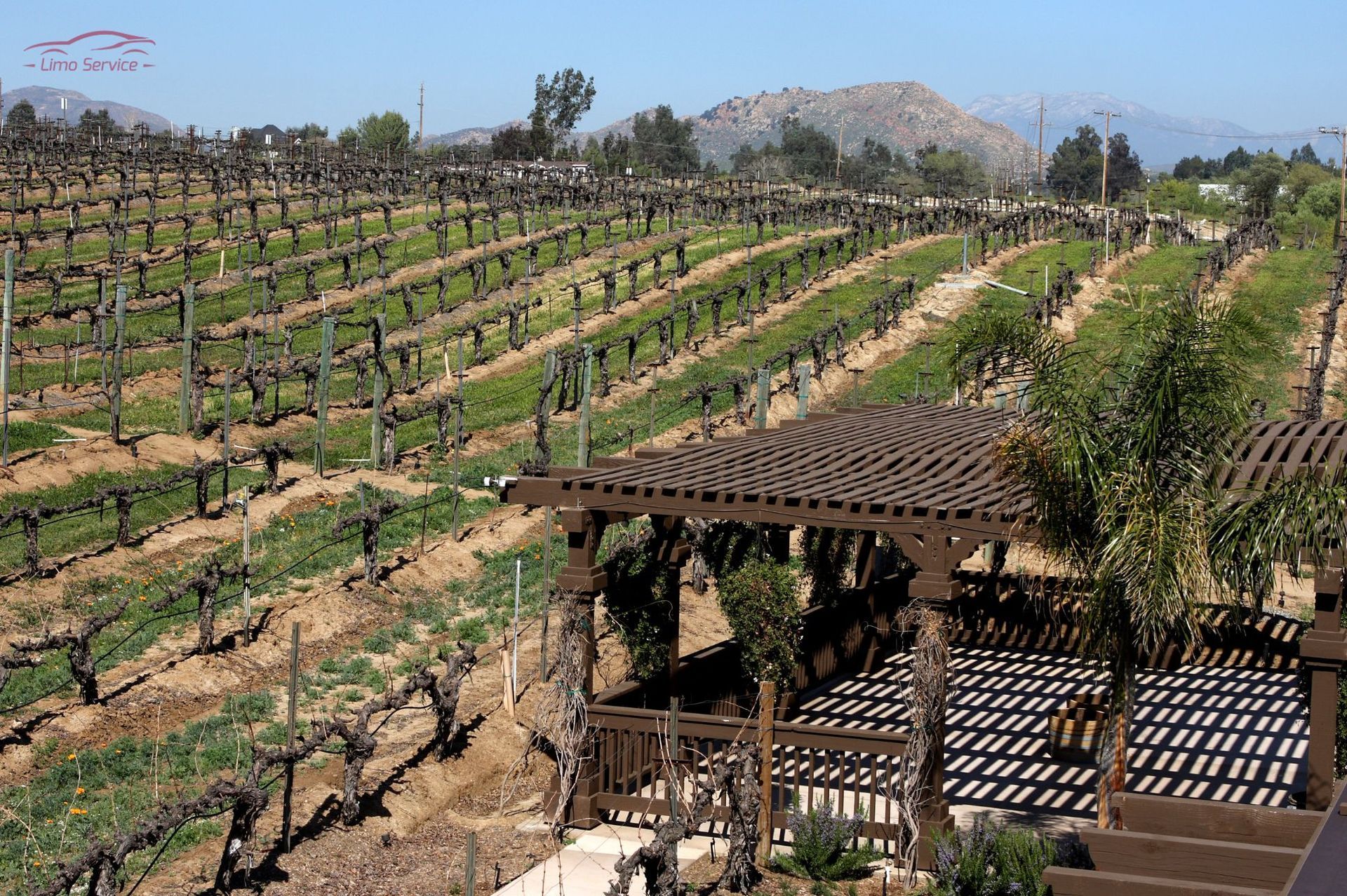 A view of a vineyard with a pergola in the foreground