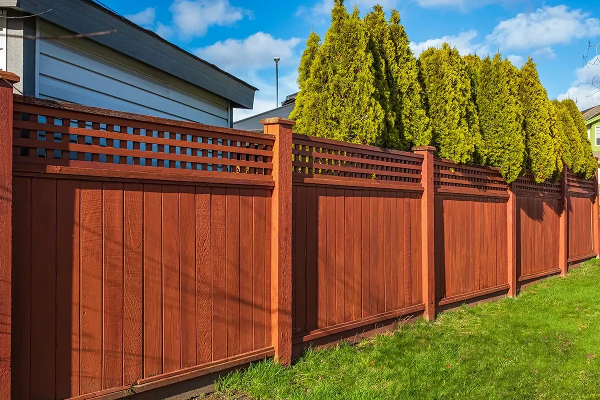A stained wooden fence with a lattice top border stands before a line of evergreen trees under a blue sky.
