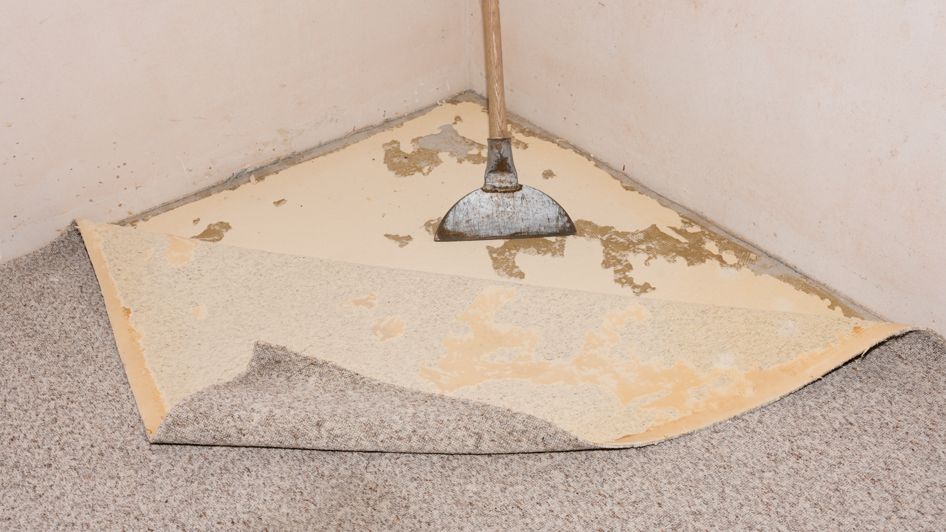 Broken beige corner floor mat peeled up with a hanging cord in a carpeted room
