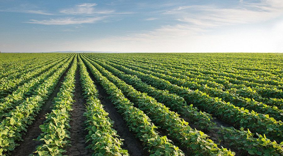 Jorge M. Bianchi e Hijos S.R.L