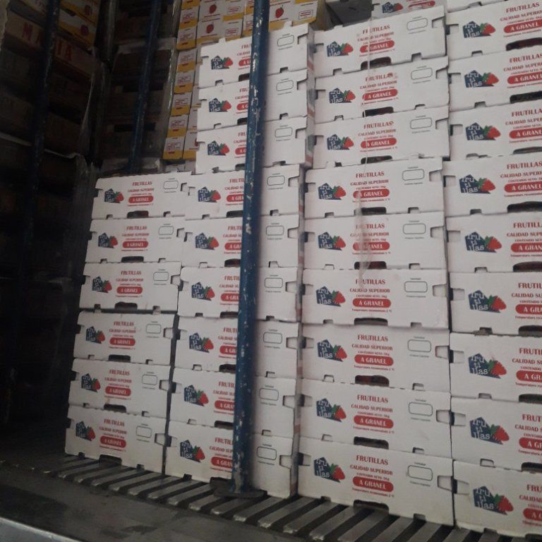  Jorge M. Bianchi e Hijos S.R.L