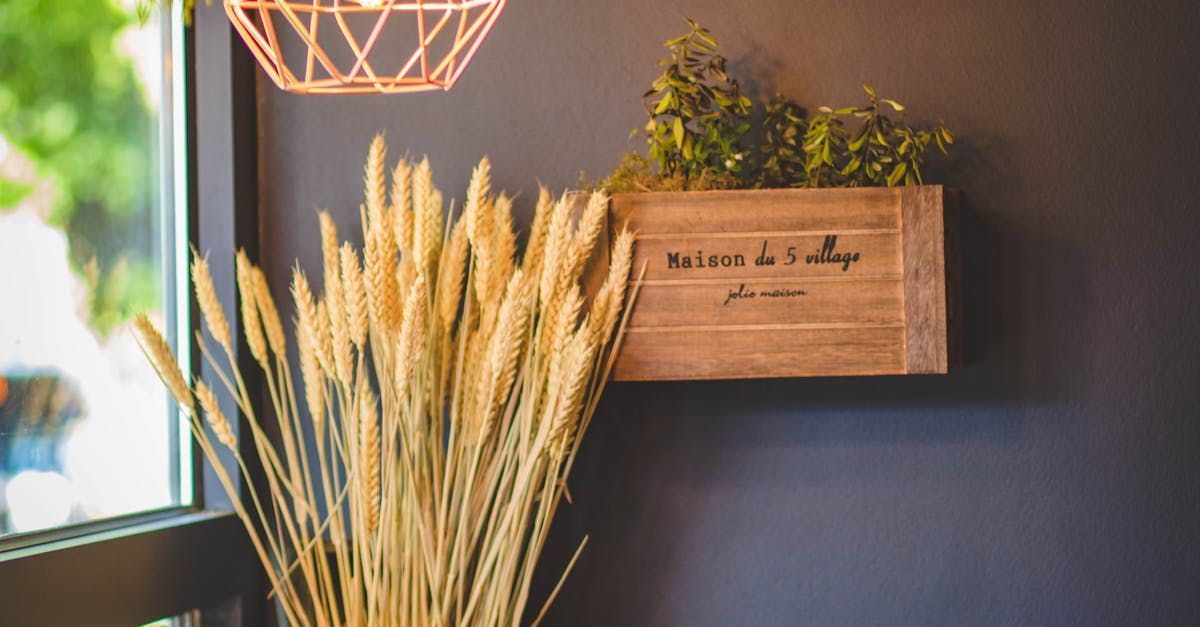 A bunch of wheat sticks in a vase next to a window.