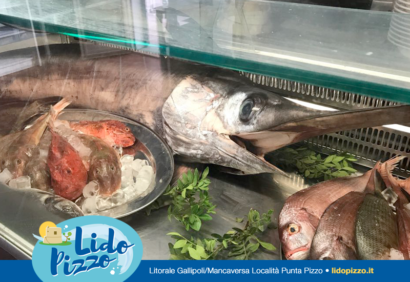 pesce fresco da Ristorante Lido Pizzo