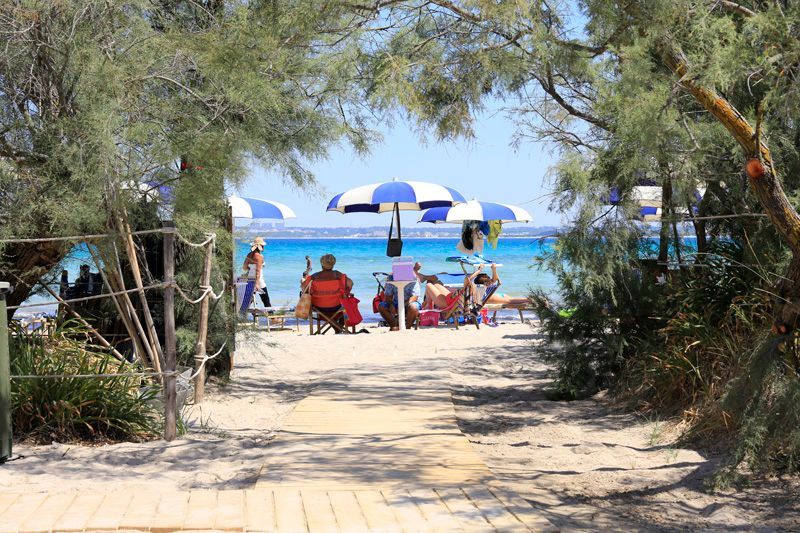 Scena di spiaggia con persone sedute sotto gli ombrelloni, incorniciate dagli alberi, che guardano verso l'oceano blu.