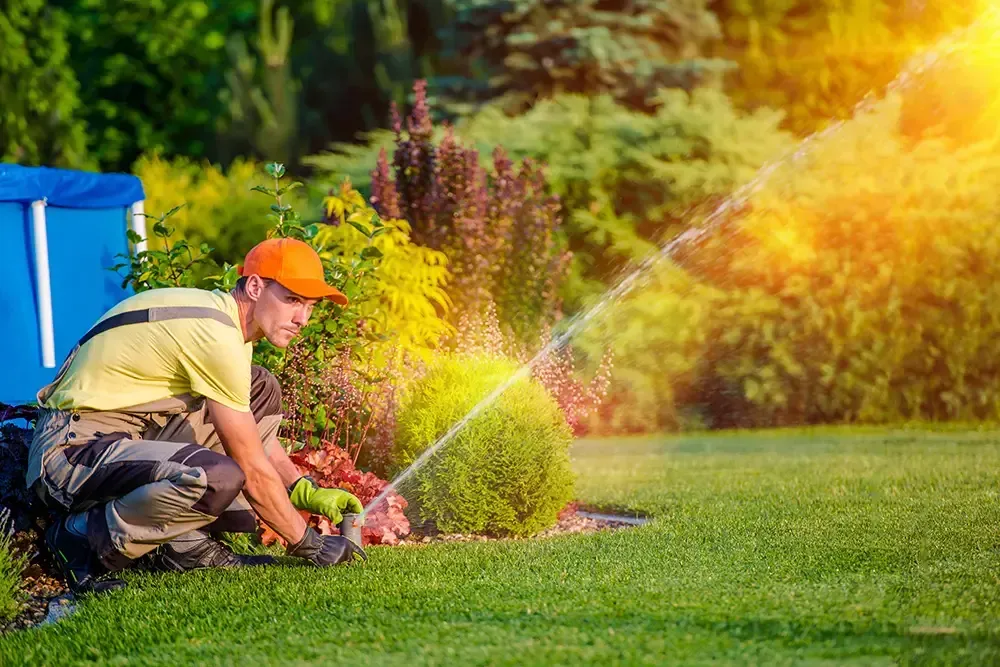 Gardener kneeling on lawn waters shrubs with a hose in a sunny yard