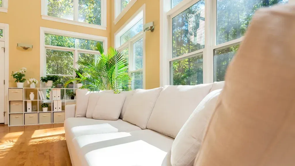 A beige sofa sits in a sunlit living room with large windows, tall green plants, and a white storage shelf unit.