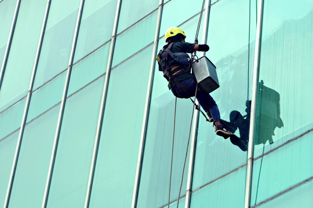 Window cleaner rappelling down a glass skyscraper, wearing a harness and carrying a bucket.