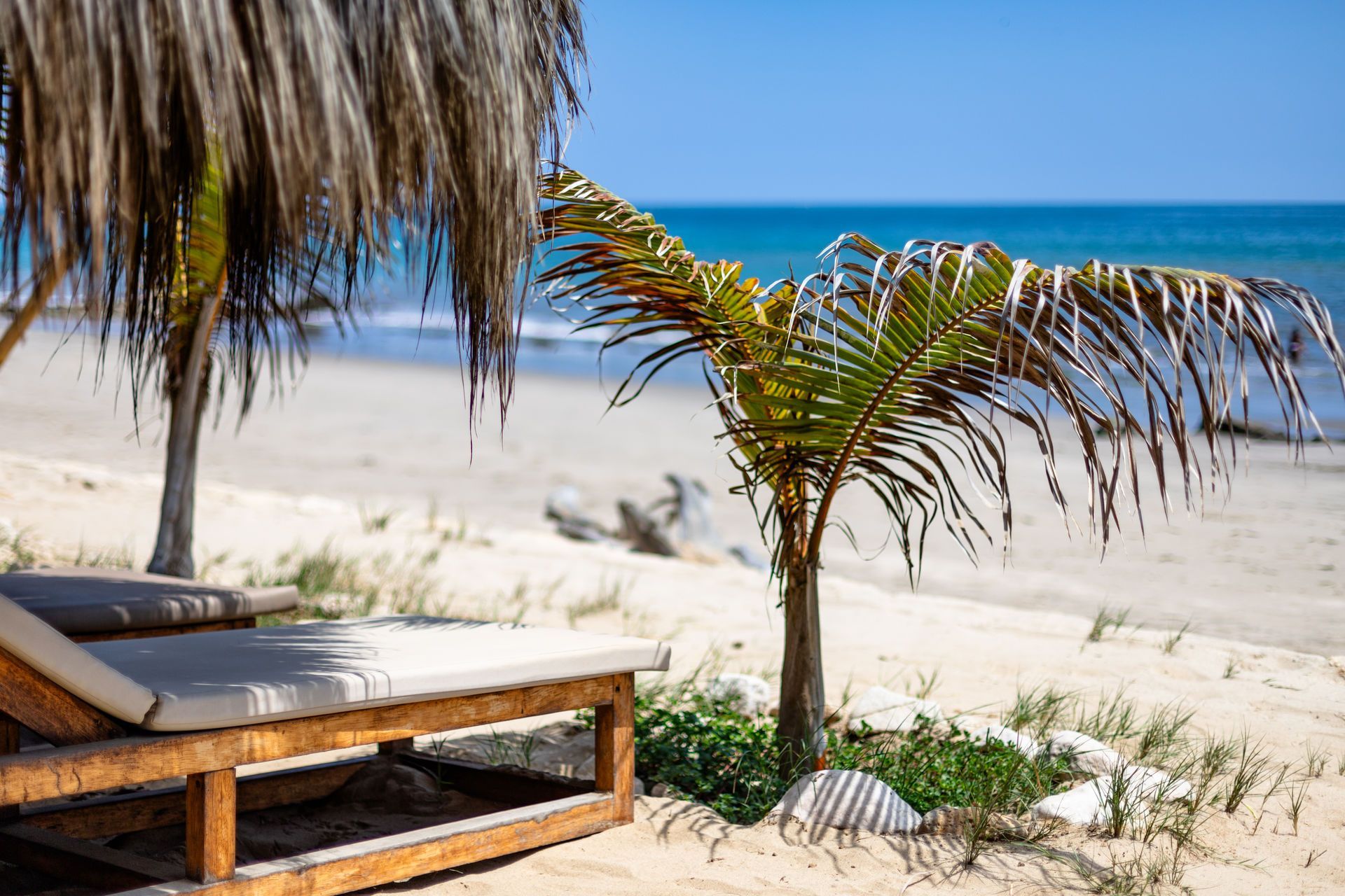 Escena de playa: Tumbona bajo un techo de palma, palmera joven, arena, océano, cielo azul.