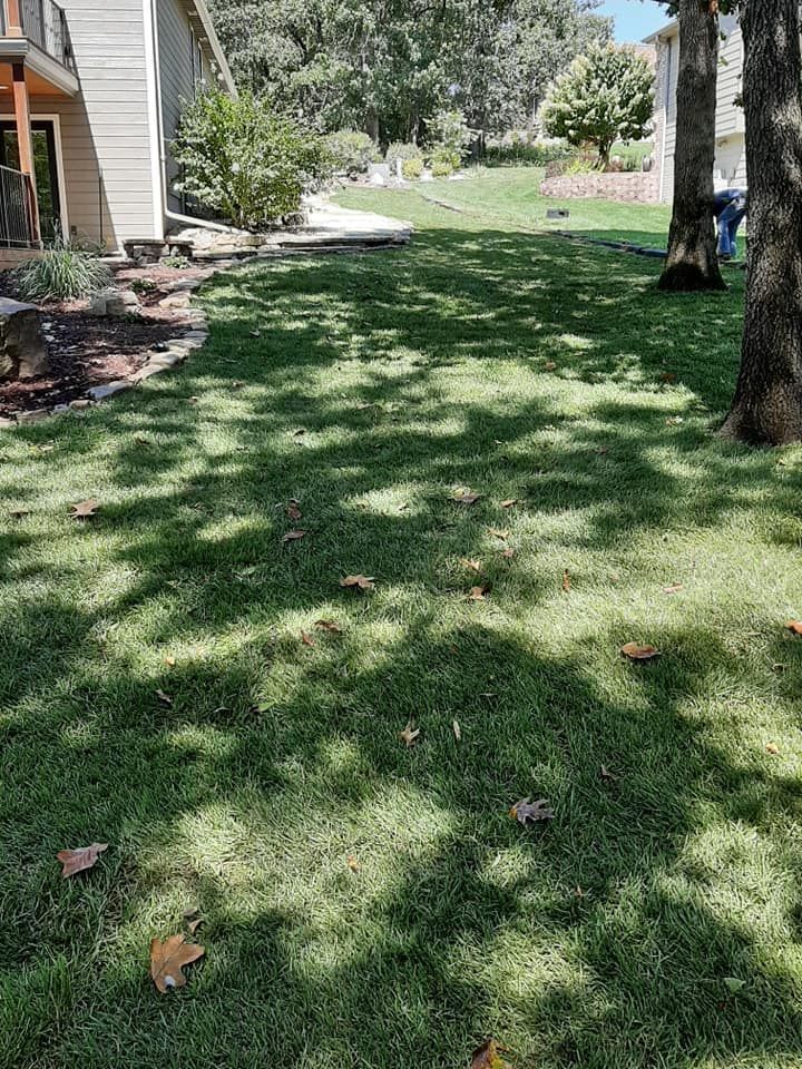 A lush green lawn with trees in the background and a house in the background.