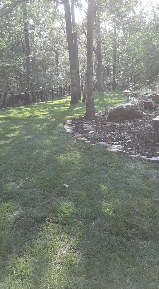 A lush green lawn with trees and rocks in the background.