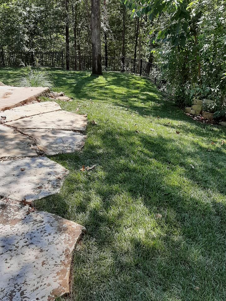 A lush green lawn with a stone walkway and trees in the background.