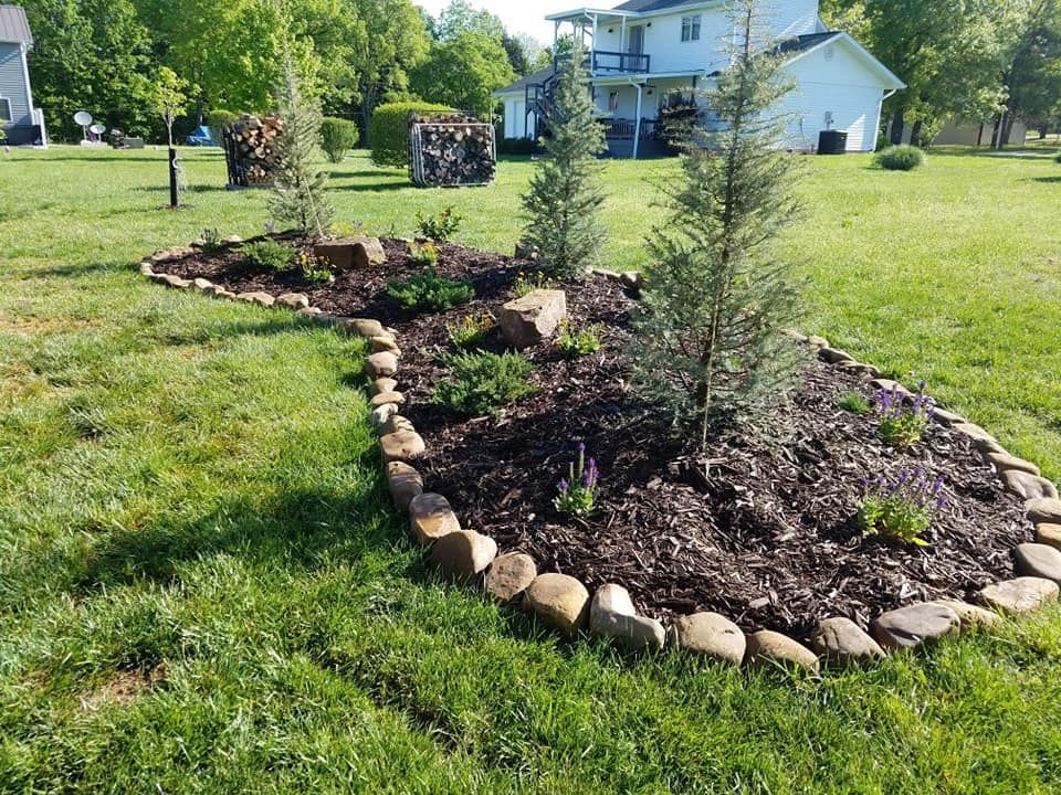 A garden with trees and rocks in it in front of a house.