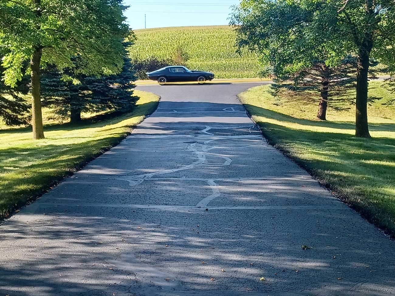 A car is parked in the middle of a driveway surrounded by trees.