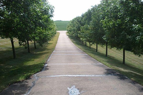 A road with trees on both sides of it