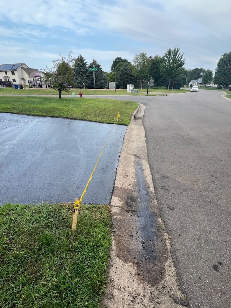 There is a lot of grass on the side of the road.