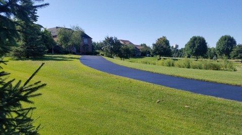 A driveway going through a lush green field with a house in the background.
