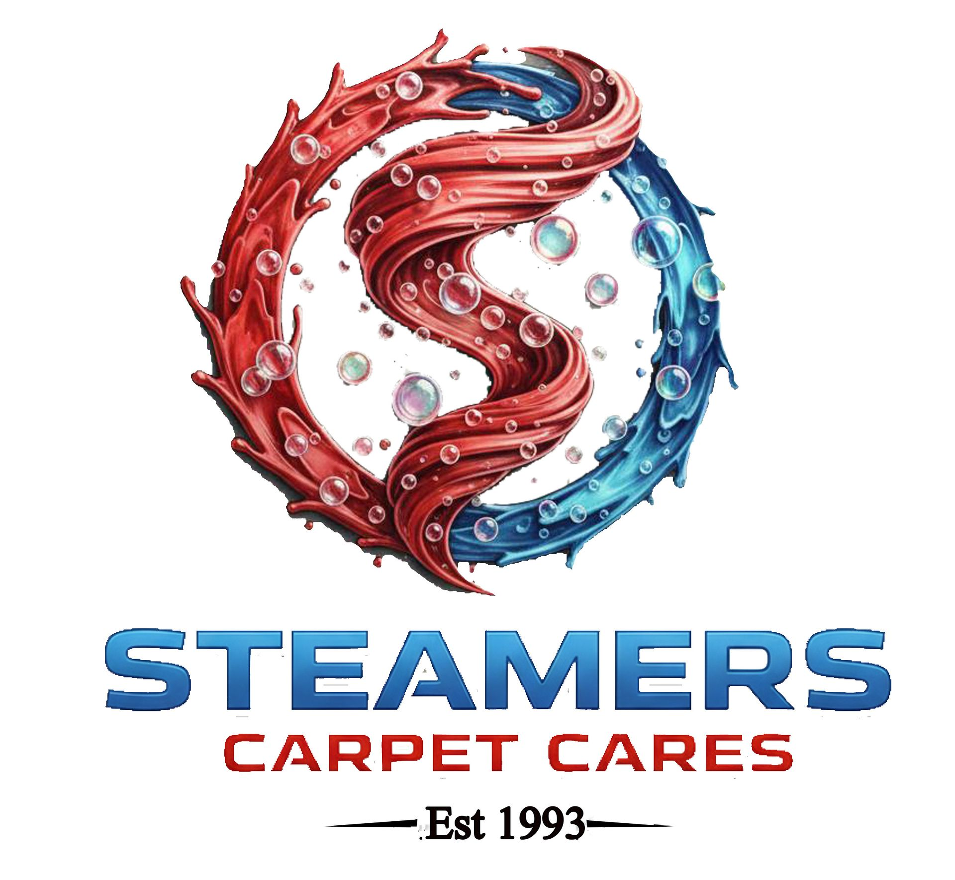 Steamers Carpet Care Steamers Carpet Care