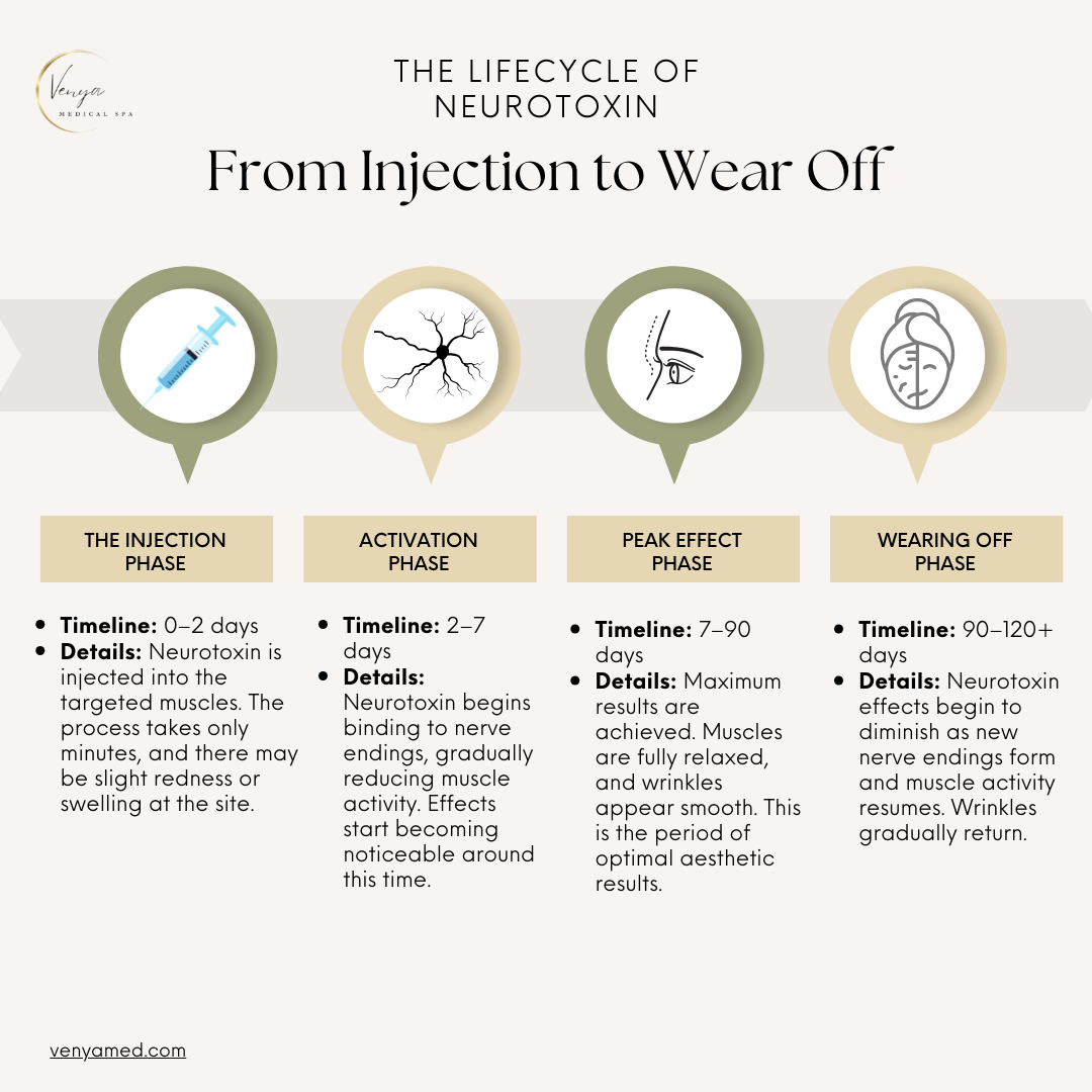 lifecycle of neurotoxins