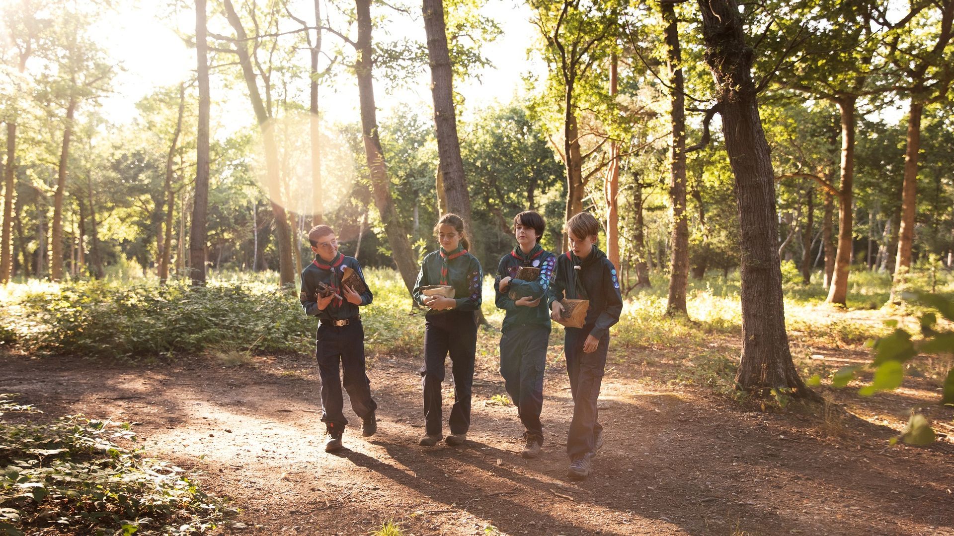 Four people walking through a sunlit forest, holding what appear to be equipment.
