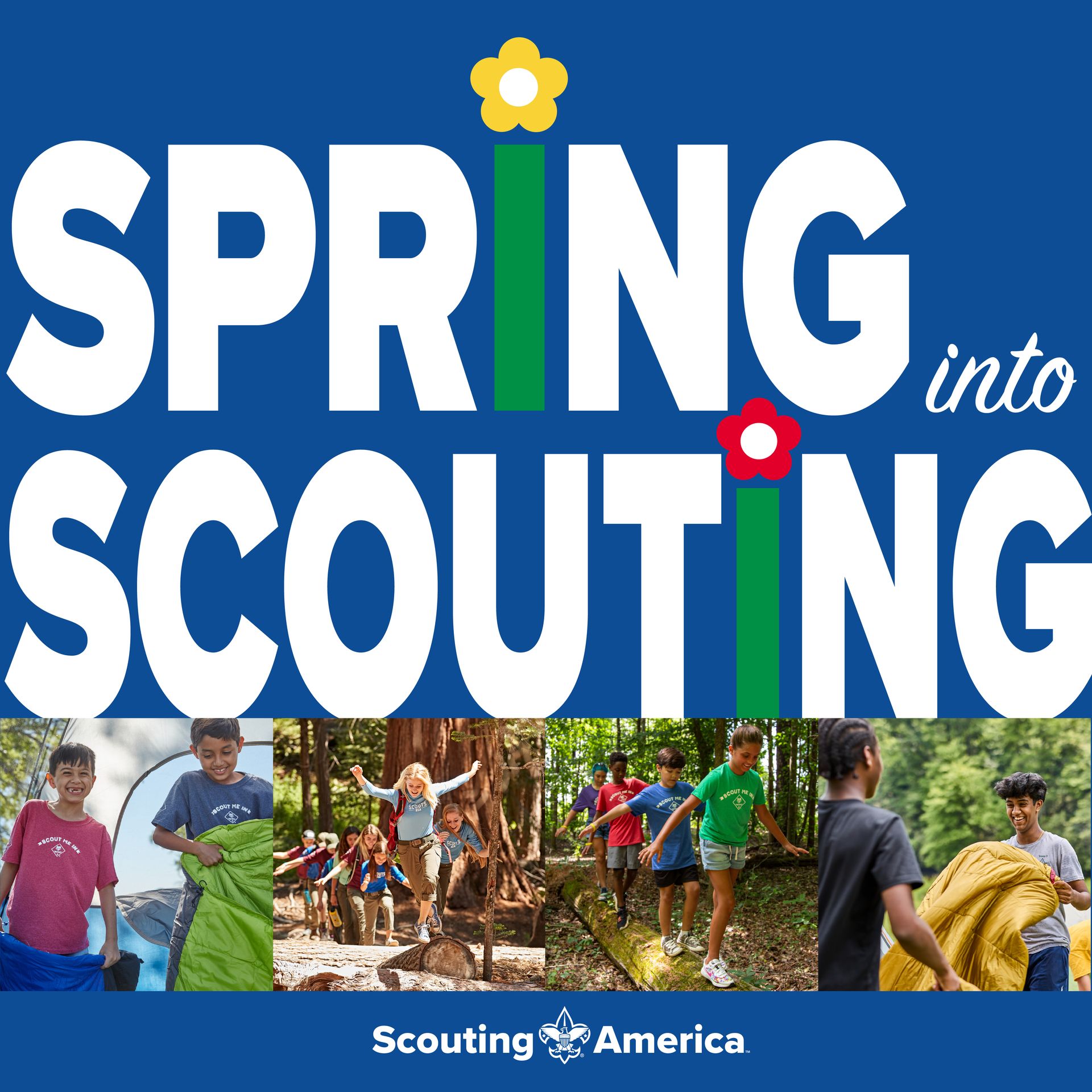 A blue and yellow banner with the words `` adventure on ! ''