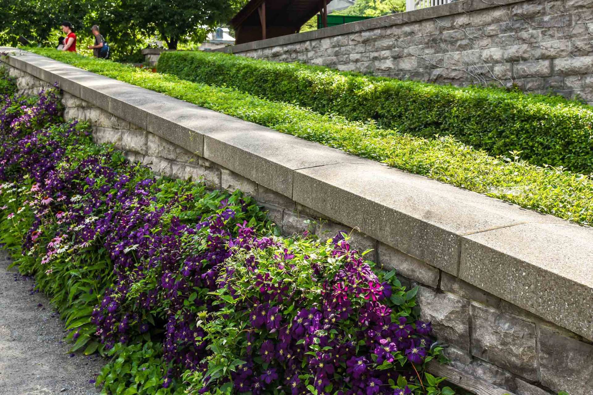 Stone Wall And Purple Flowers — Saline, MI — KBK Landscaping