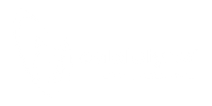 Cablelynx logo