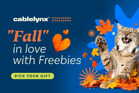 Cablelynx ad: A lynx in autumn leaves, 