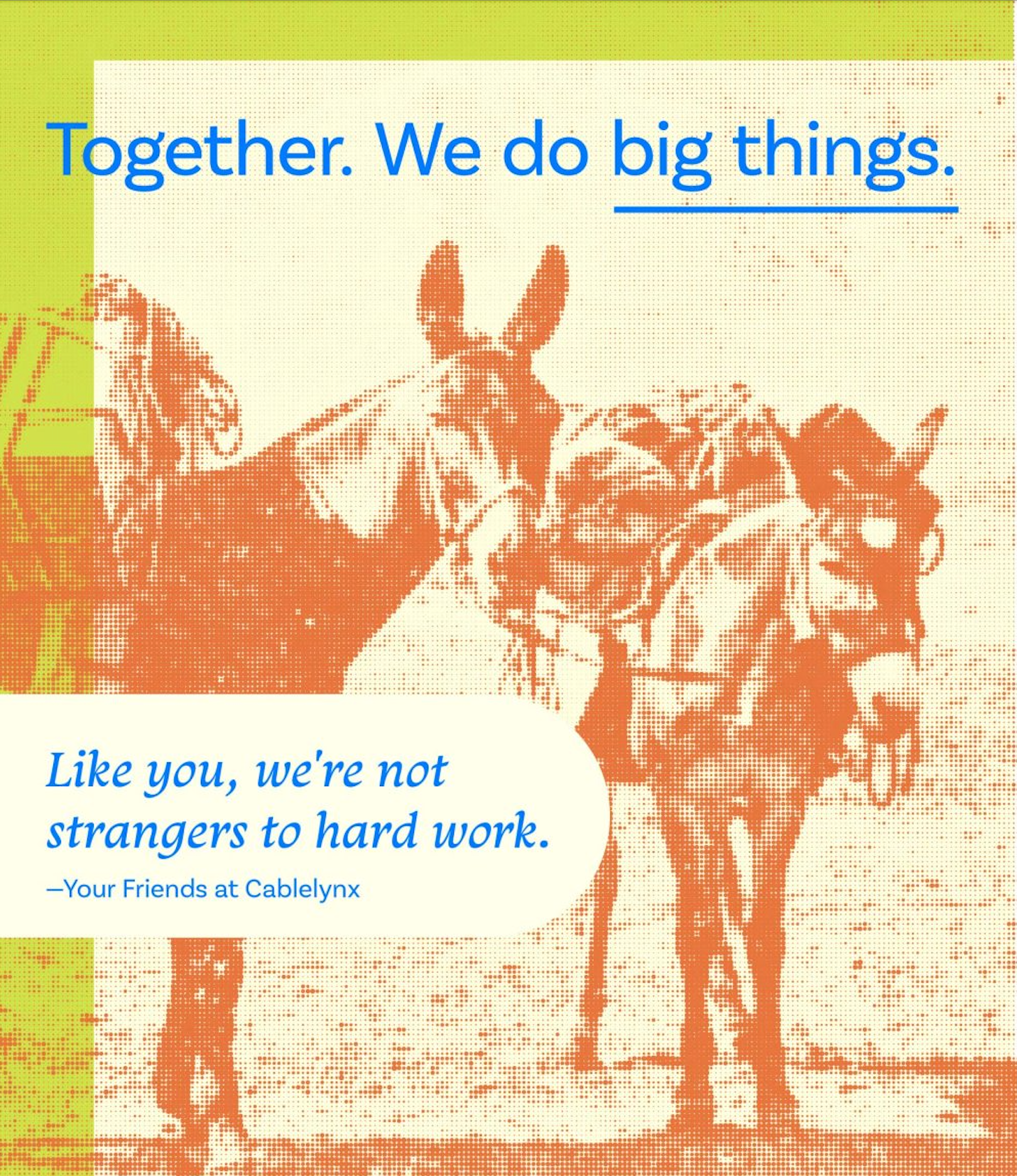 Two donkeys, orange print on off-white, with text: 