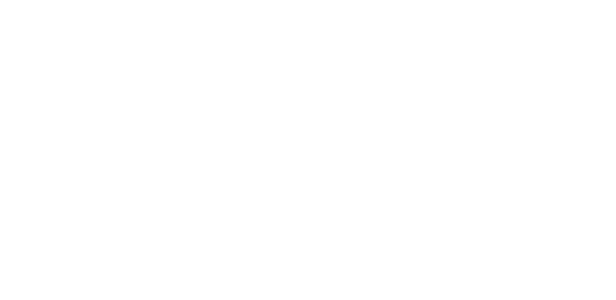 Cablelynx logo