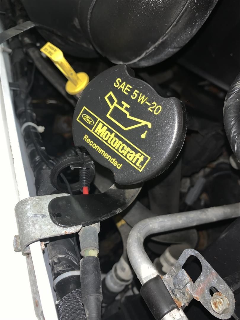 A close up of a motorcraft oil cap on a car engine. | Lou's Car Care Center, Inc.