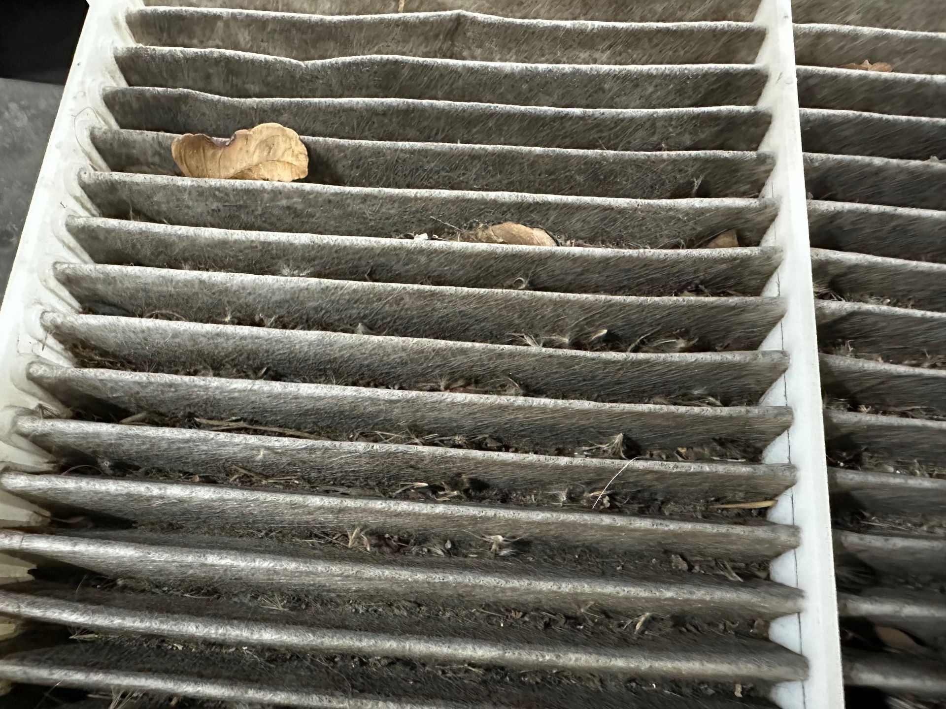 Dirty vehicle cabin air filter with dirt, dust and leaves.