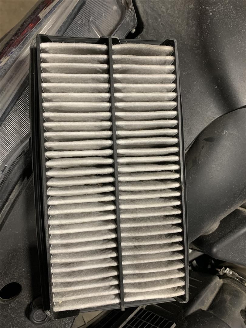 A dirty air filter is sitting under the hood of a car. | Lou's Car Care Center, Inc.