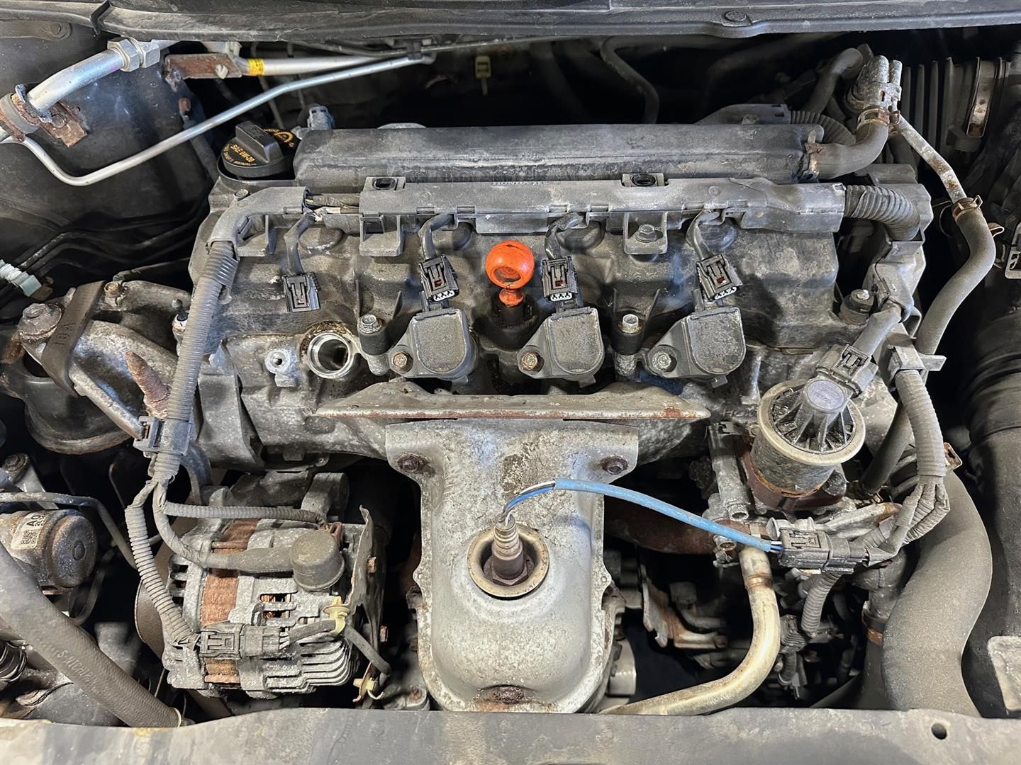 A close up of the engine of a car with the hood open.  | Lou's Car Care Center, Inc.