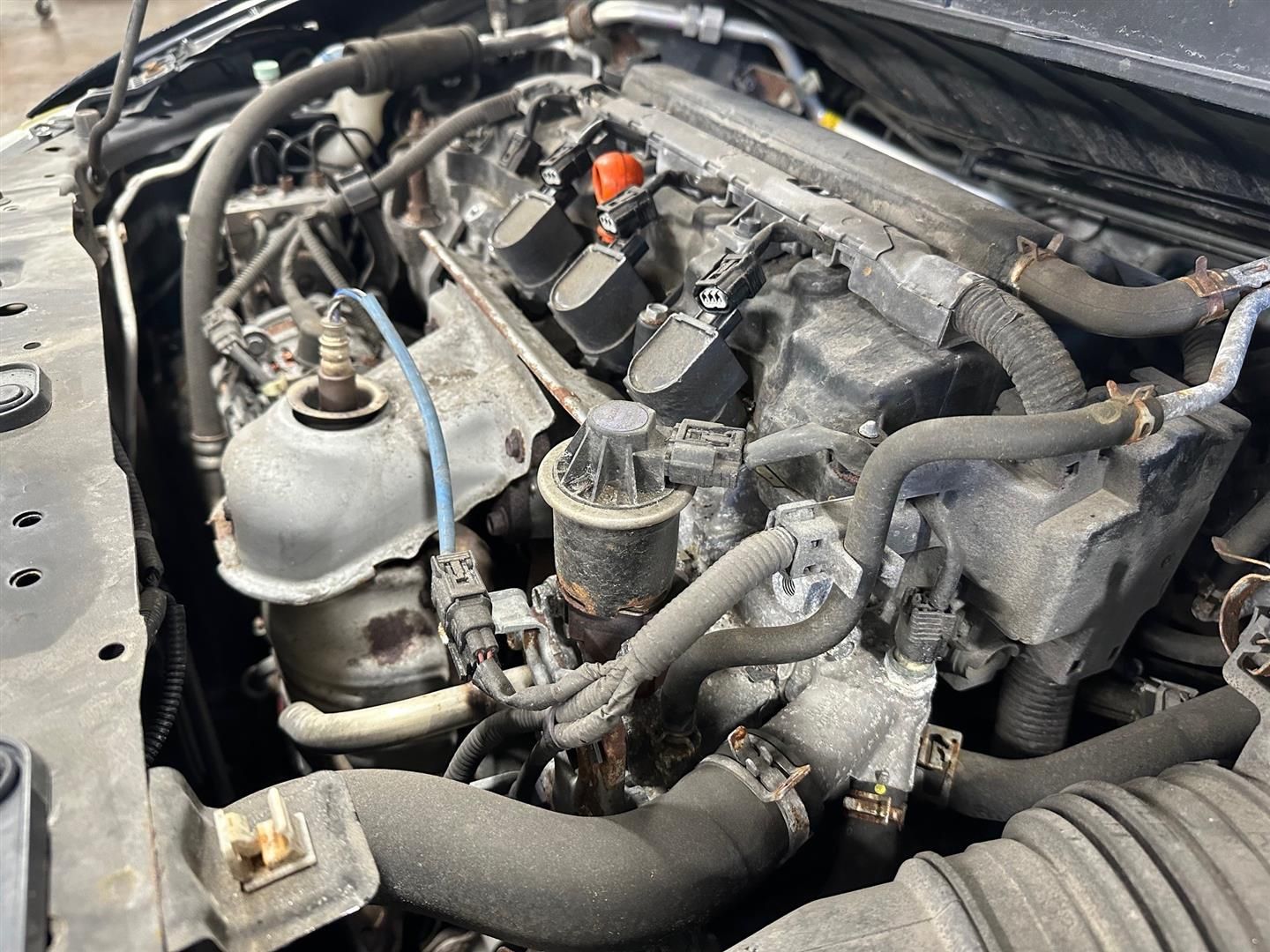 A close up of the engine of a car with the hood open.  | Lou's Car Care Center, Inc.