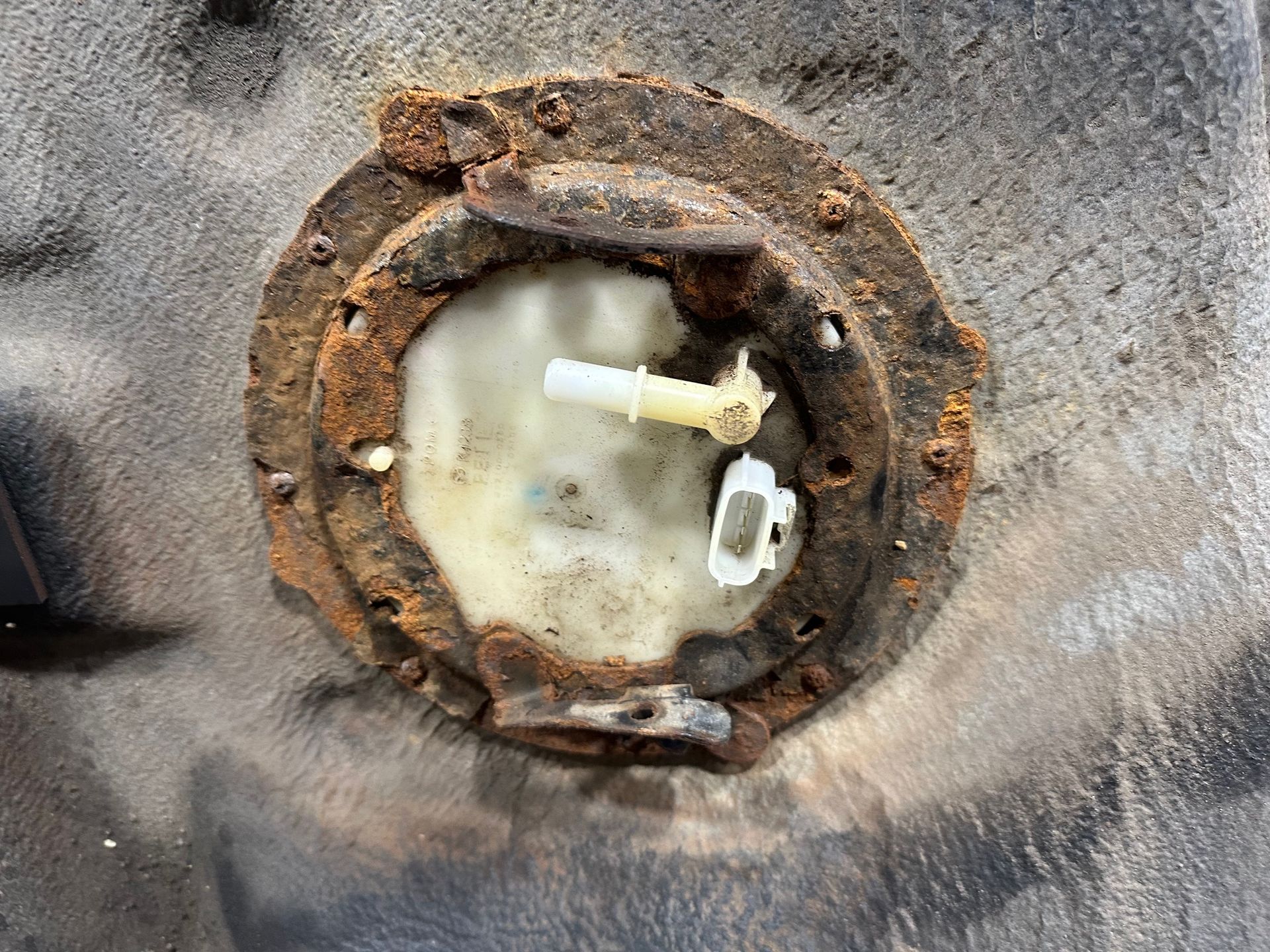 Old, rusted fuel pump in old gas tank | Lou's Car Care Center, Inc.