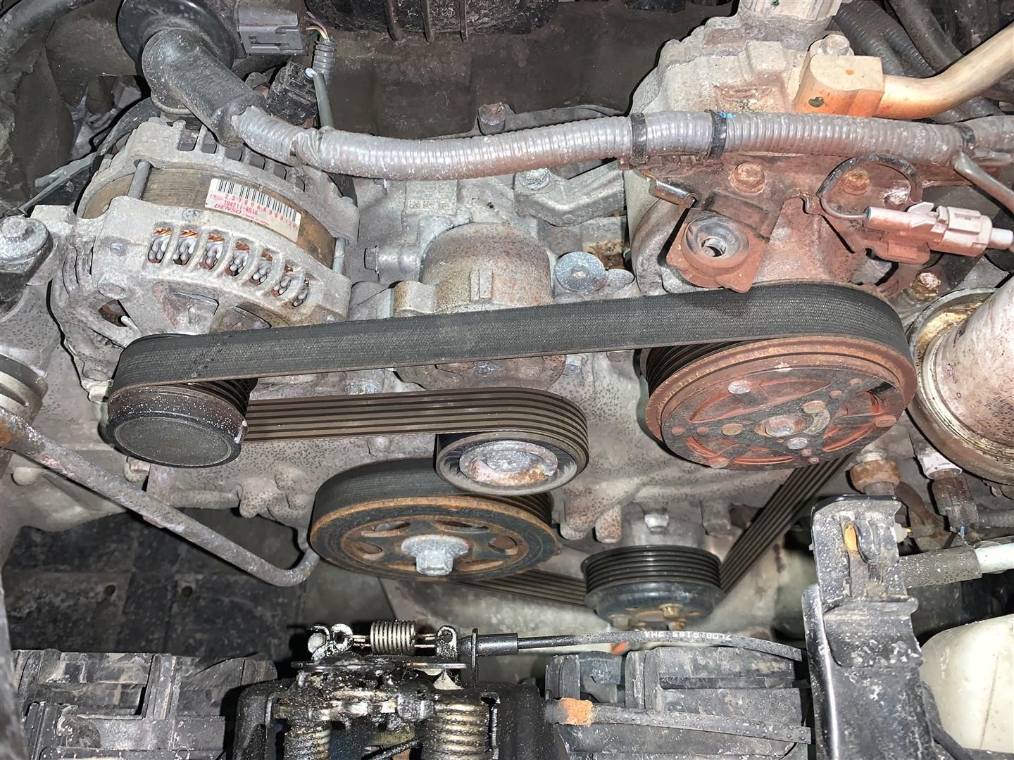 A close up of a car engine with a belt on it | Lou's Car Care Center Inc.