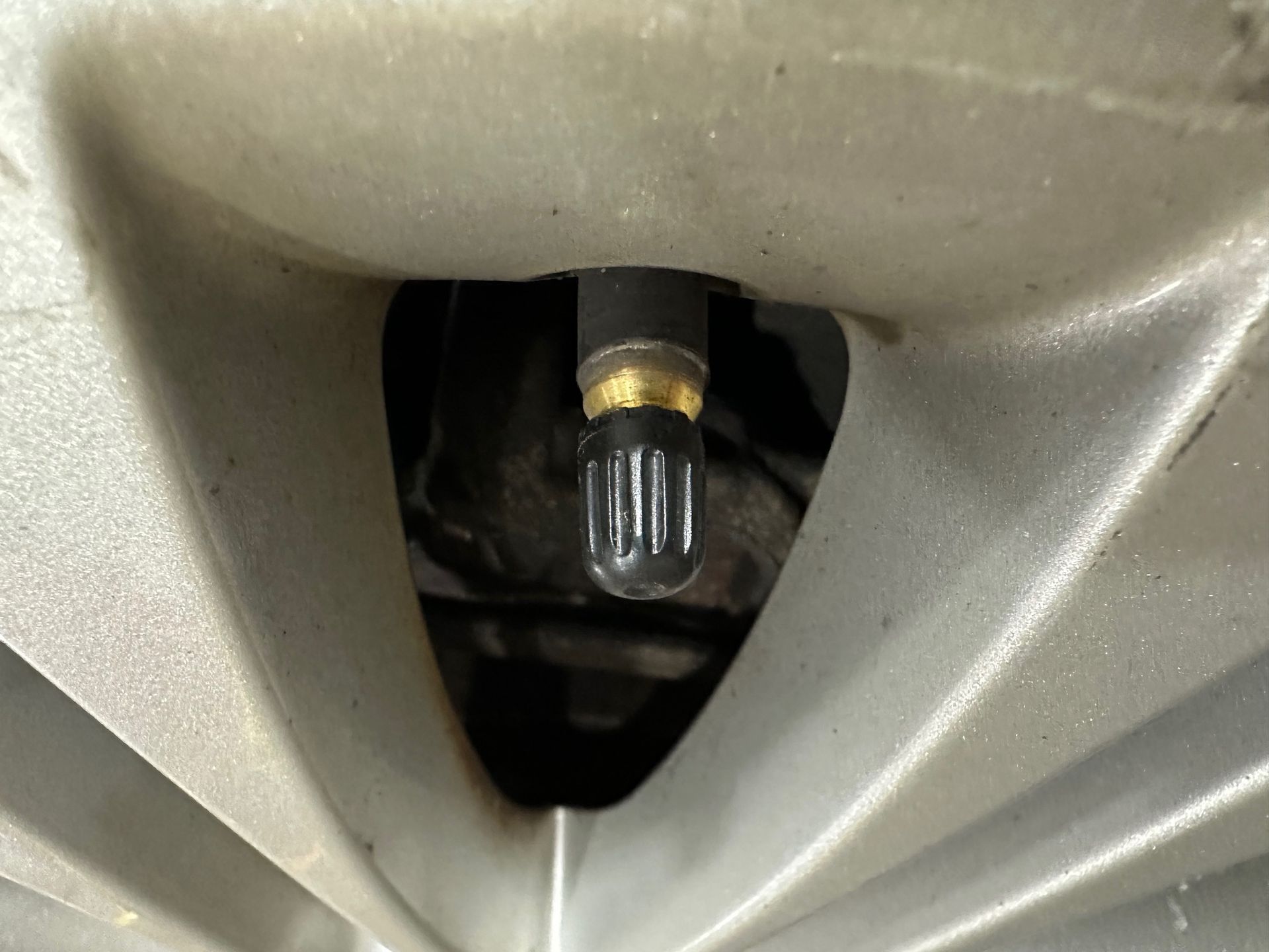 Tire valve stem with black cap.