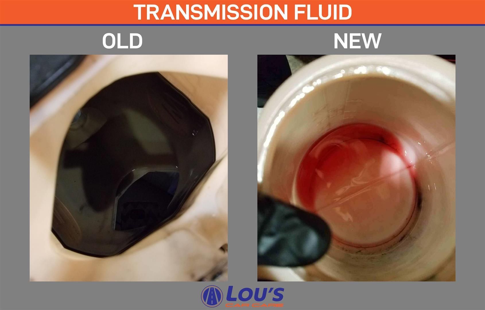 A picture of old and new transmission fluid from lou 's | Lou's Car Care Center, Inc.