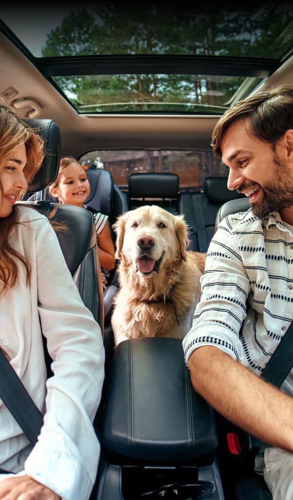 Una motocicletta gialla e nera è parcheggiata sul ciglio della strada.