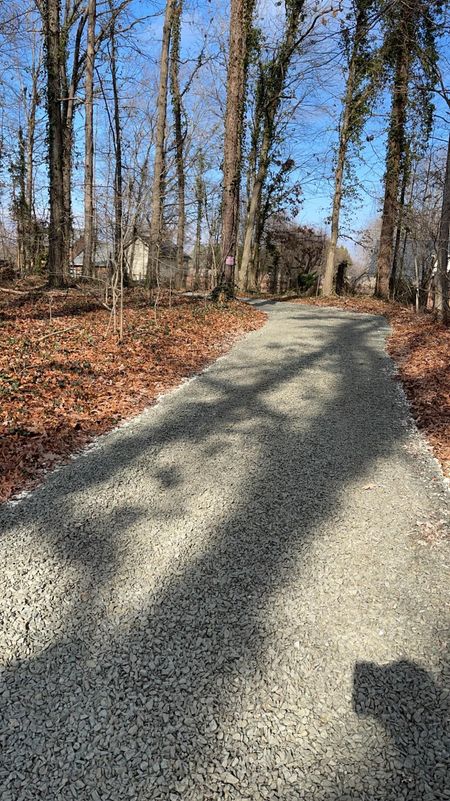 Gravel path through a forest, lined with tall trees, fallen leaves, and blue sky.