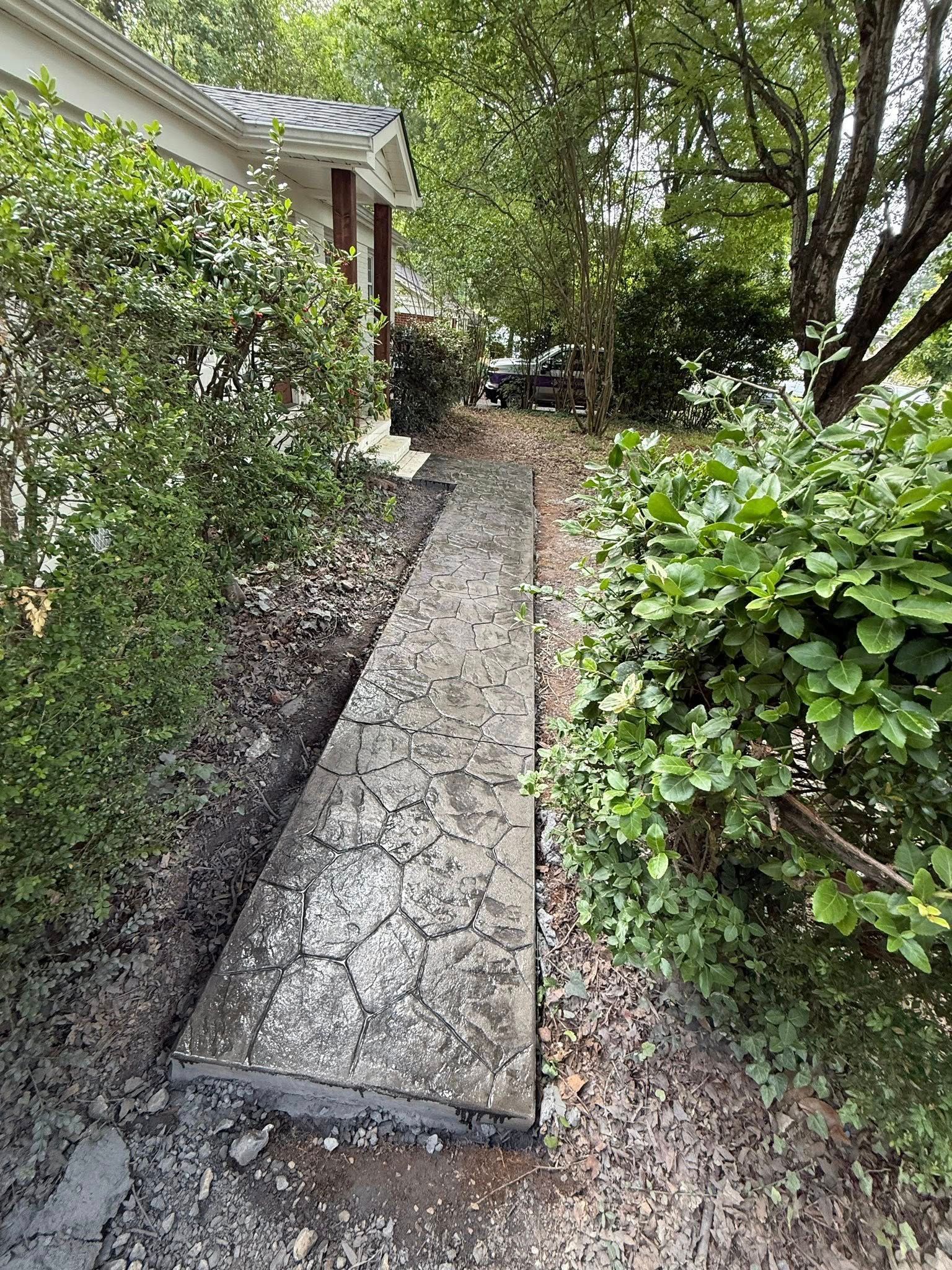 A cracked concrete walkway surrounded by bushes and dirt leading to a house entrance.